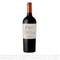 VINO FAMILIA GASCON ROBLE CABERNET SAUVIGNON X 750ML