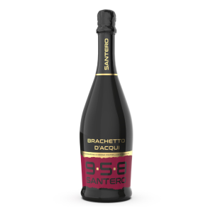 ESPUMANTE SANTERO BRACHETTO X 750ML