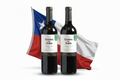 PACK 2 VINOS CASILLERO DEL DIABLO MALBEC X 750ML