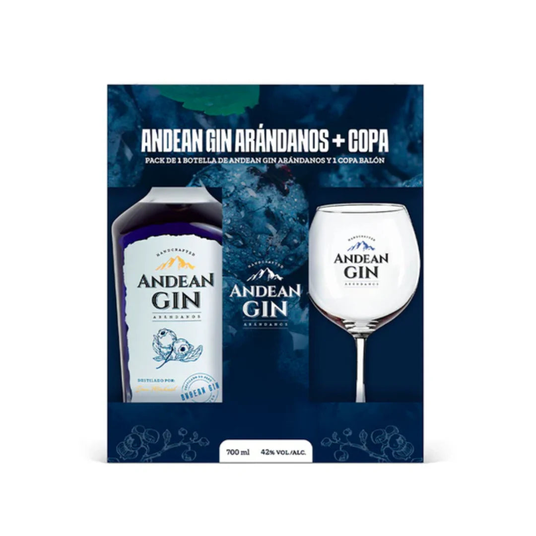 PACK ANDEAN GIN ARANDANOS + COPA